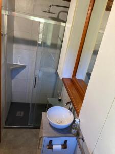un bagno con lavandino e doccia di Gîte chez Arthur a Vezzani