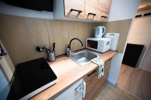 Η κουζίνα ή μικρή κουζίνα στο Apartamenty Golden Times Kowalska 8