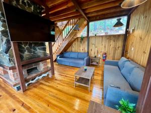 ein Wohnzimmer mit Sofa und Kamin in der Unterkunft Nido de Madera in San Mateo Río Hondo