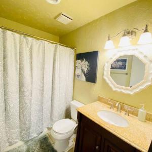a bathroom with a toilet and a sink and a mirror at The Big Chill on Table Rock Lake in Holiday Island +11 photos