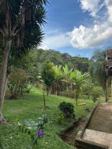 a garden with palm trees and a field of grass at Recanto Paraíso in Cotia