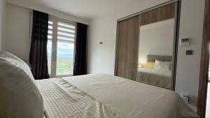 Un dormitorio con una cama y un espejo grande. en Penthouse Views-Free Pool & Spa, en Skopje 32 fotos más