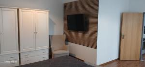 TV a/nebo společenská místnost v ubytování Apartmány Šrámek Stříbro