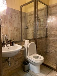 a bathroom with a toilet and a sink at Sandrose Luxury Guesthouse, Windhoek in Windhoek