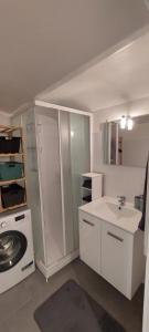 Un baño con lavabo y lavadora. en Studio Nice centre, en Niza