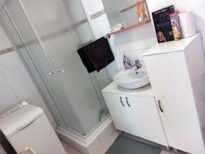 a bathroom with a sink and a shower and a toilet at Ubytování Teplice in Teplice