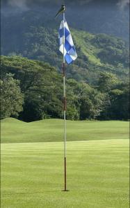 Golf v hotelu nebo okolí