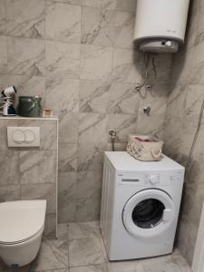 een badkamer met wasmachine en toilet bij Apartma San Marino in Novi Vinodolski