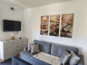 een woonkamer met een blauwe bank en drie schilderijen aan de muur bij Apartma San Marino in Novi Vinodolski