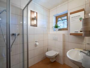 a bathroom with a shower and a toilet and a sink at Apartment Daniela-4 by Interhome in Niederau +5 photos