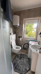 een kleine badkamer met toilet en wastafel bij Apartma San Marino in Novi Vinodolski +28 foto's