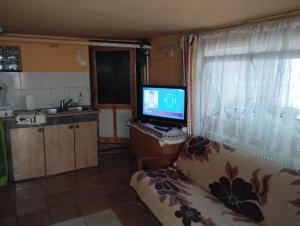 Kuchyňa alebo kuchynka v ubytovaní Tóth Apartman + 16 fotografií