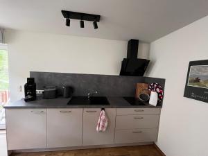 Kuchyň nebo kuchyňský kout v ubytování Haus am Grenzgraben