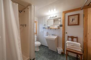 une salle de bains avec toilettes et lavabo dans l'établissement Ashton Log Cabins, à Ashton