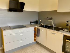 Η κουζίνα ή μικρή κουζίνα στο MAISON APPATEMENT 3 Chambres 6 couchages +10 φωτογραφίες