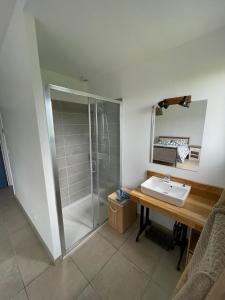 a bathroom with a shower and a sink at Charmante maison typique des Landes in Linxe +9 photos