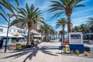a street with palm trees and a sign at Once Upon a Tide Glenelg in Glenelg