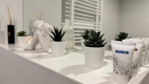 Fotografia z galérie ubytovania Apartament GreyAppart v destinácii Kołobrzeg