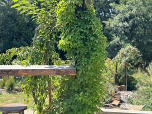Giardino di Garden Residence - The Nest