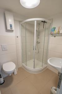 a bathroom with a shower and a toilet and a sink at HANNIBAL - City Apartment "T-Roc", VW Nähe, Parkplatz, City Nähe, Küche, HighSpeed-WLAN in Wolfsburg +51 photos