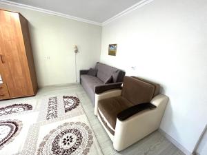 a living room with a couch at Уютная квартира-студия в курортной зоне Щучинский in Uchitelʼ