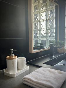a bathroom with a sink and a mirror and a towel at Alexander Home with parking in Colmar +15 photos