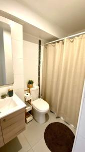 Koupelna v ubytování Pucón, Departamento con WiFi, cerca del Centro y Ski