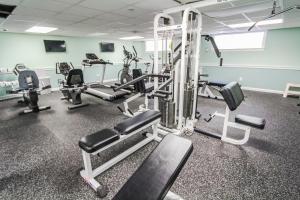 Fitness centrum a/nebo fitness zařízení v ubytování Holly Tree Resort