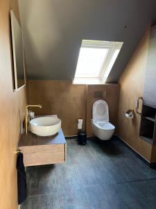 a bathroom with a sink and a toilet with a skylight at De Geluksbrenger in Spanga +12 photos