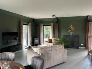 a living room with green walls and a couch and chairs at De Geluksbrenger in Spanga