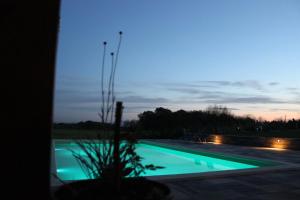 a view of a swimming pool at night at Villa Green Relax in Gornji Mihaljevec