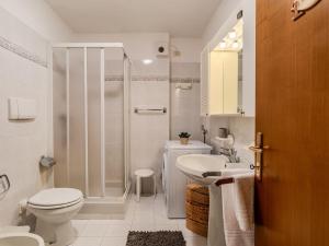 a bathroom with a shower and a toilet and a sink at Apartment La Meridiana by Interhome in Spiazzo