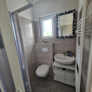 a bathroom with a toilet and a sink and a mirror at Vila Natasa Apartment 4 near Plitvice in Vrhovine +26 photos