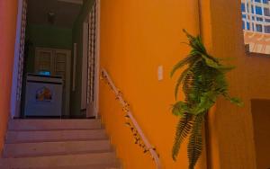 a stairway with a plant hanging from a wall at Le house hostel in São Paulo