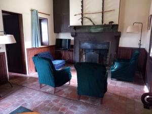 a living room with blue chairs and a fireplace at Gîte grande famille Alisiers in Lailly-en-Val