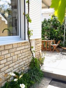 Zahrada ubytování Apartments Marijana