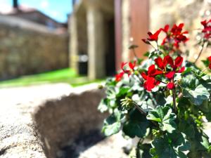 Albergue Turistico En Armenteira A Fragua do Ferreiro外面的花园