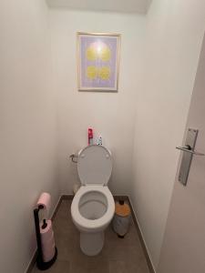 a bathroom with a toilet with a picture on the wall at Nice tourist apartment in Digoin +17 photos