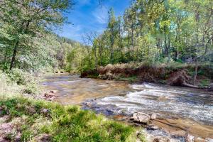 Fotografie z fotogalerie ubytování Creektopia v destinaci Blue Ridge