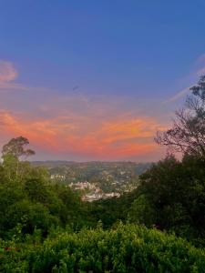 カンポス・ド・ジョルドンにあるVilla Panoramaの木々の丘からの夕日の眺め