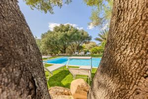 Bazén v ubytovaní Stazzo San Teodoro L'Olivastro Piscina Condivisa alebo v jeho blízkosti