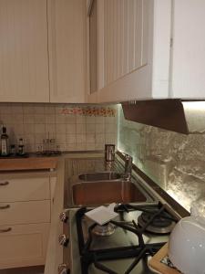 una cucina con lavello e fornello forno superiore di Appartamento bilocale ERICA a Monteriggioni