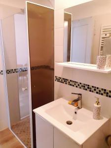 a bathroom with a sink and a mirror at Studio Paisible in Gien-sur-Cure