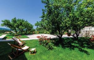 Zahrada ubytování Villa San Nicolo