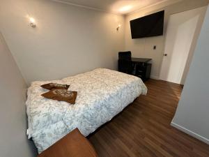 TV a/nebo společenská místnost v ubytování Habitación con cama doble y baño privado N2
