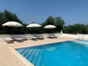 Bazén v ubytování Malvischi Guesthouse - Garden & Pool nebo v jeho okolí