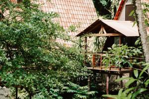 Zahrada ubytování Calala Lodge