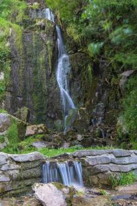 Landskap semula jadi dekat dengan apartmen