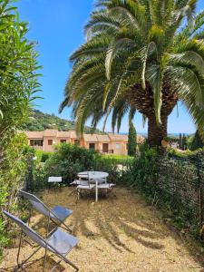 a table and chairs sitting under a palm tree at Le Studio Sur La Côte in Cavalaire-sur-Mer