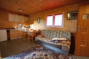 a living room with a couch and a kitchen at Eurostruś - zoo, domki in Borzychy
